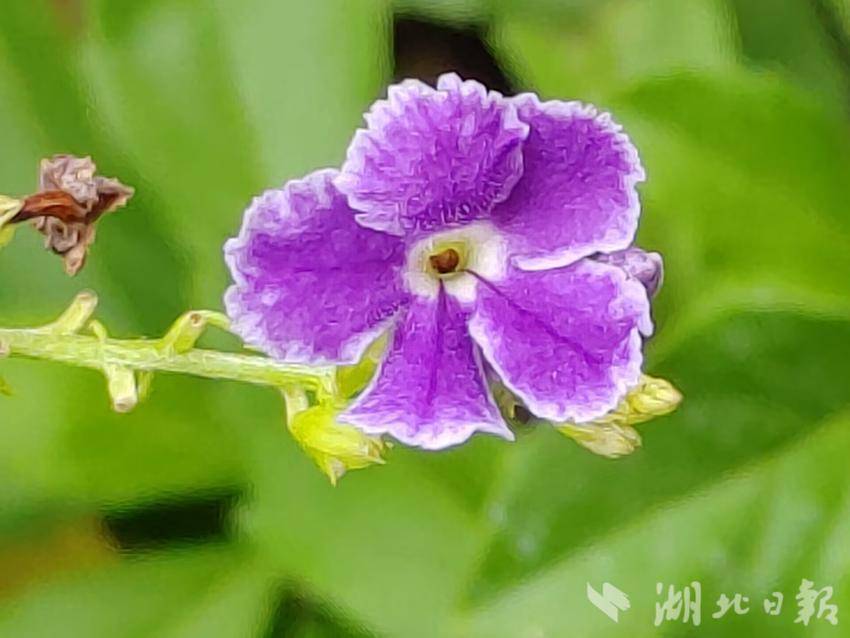 美高梅线上网投